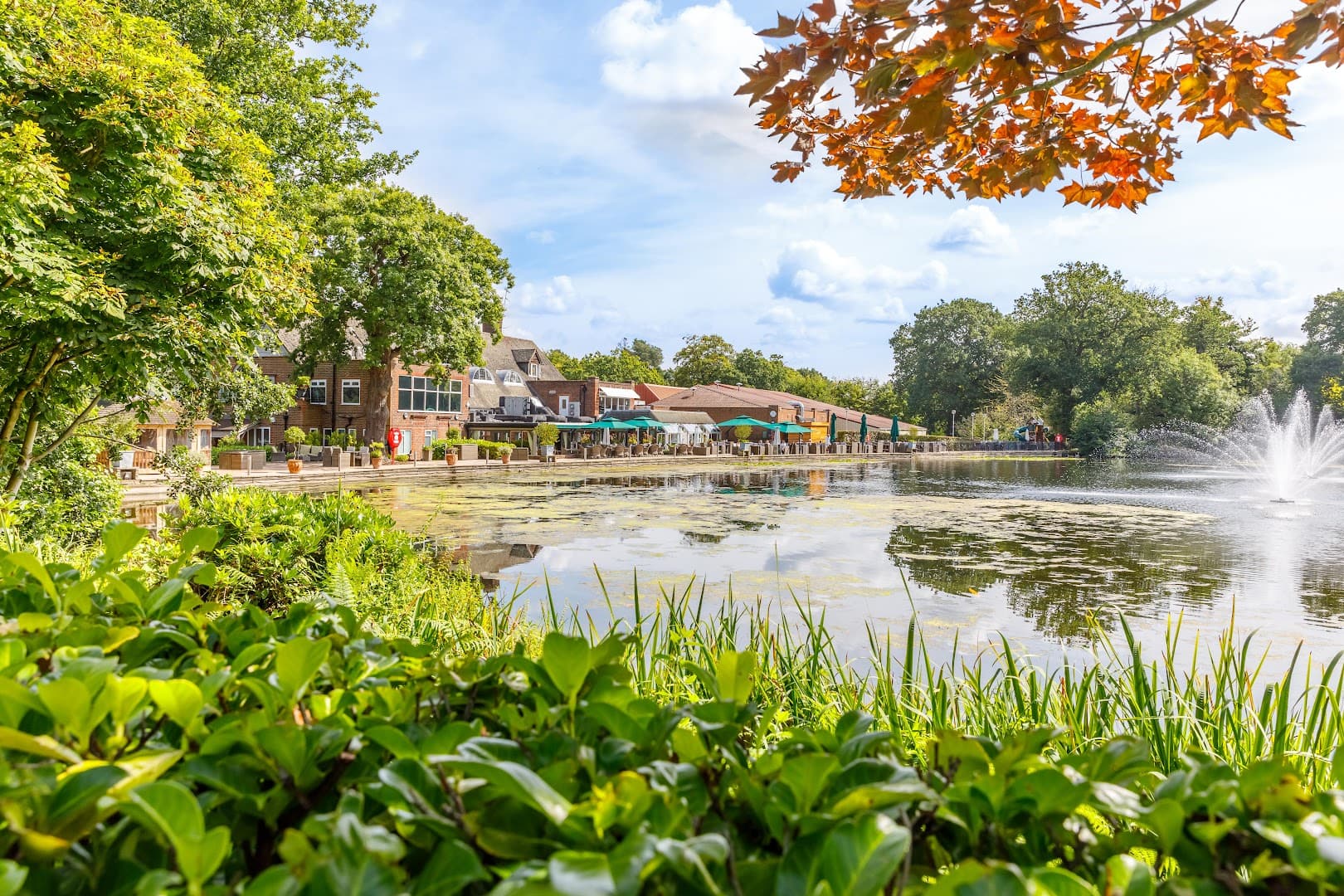 St George's Hill Lawn Tennis Club 5