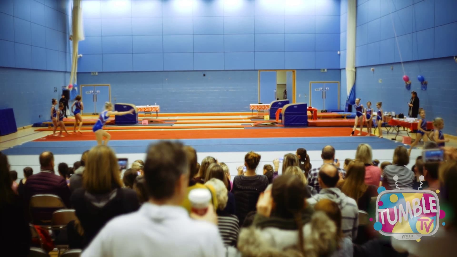 Flair Gymnastics : Surrey Sports Park 2