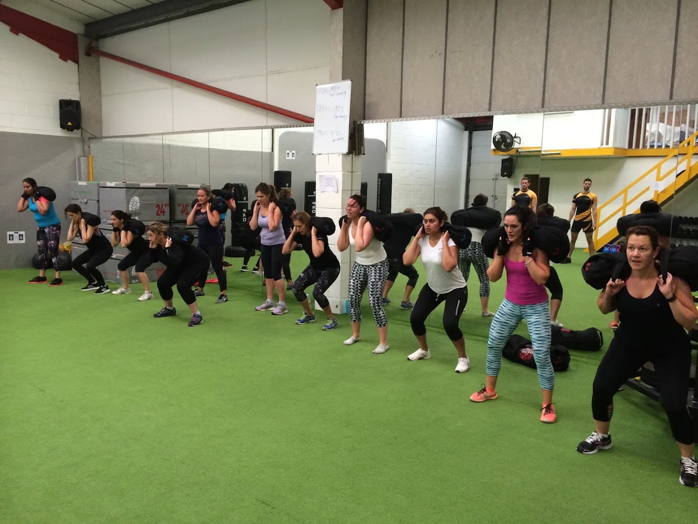 The Evolution Project 4