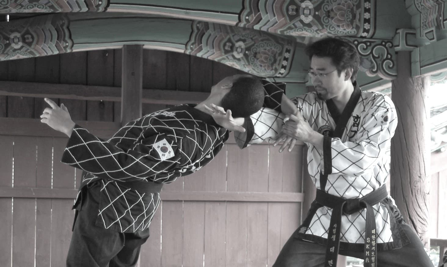 SKMA Hapkido (School of Korean Martial Arts) 8