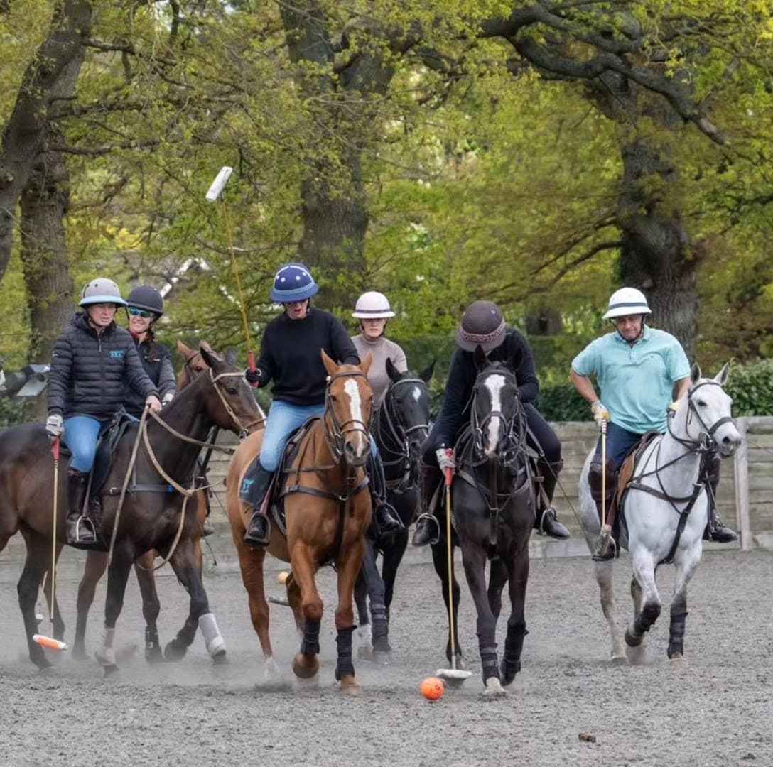 Minninnooka Polo & Riding School