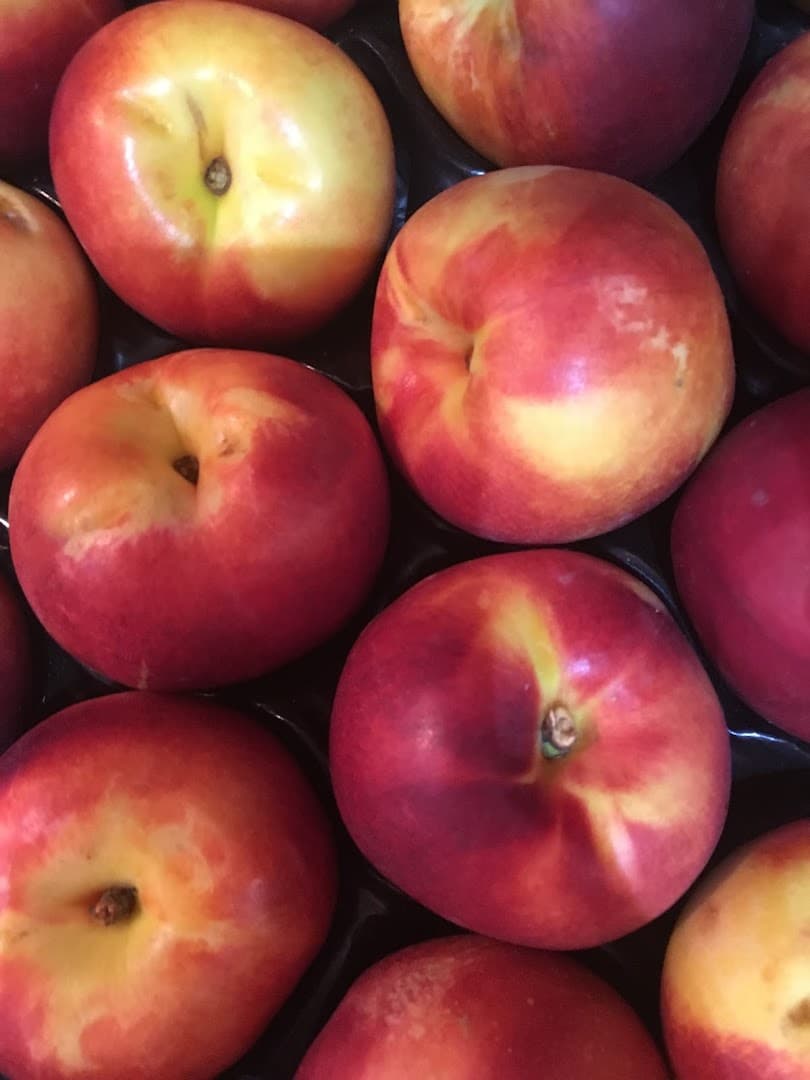 Village Greens Farm Shop Coles Lane, Ockley