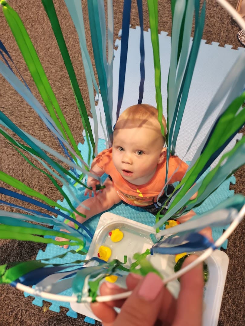 Amber Bees Classes 2