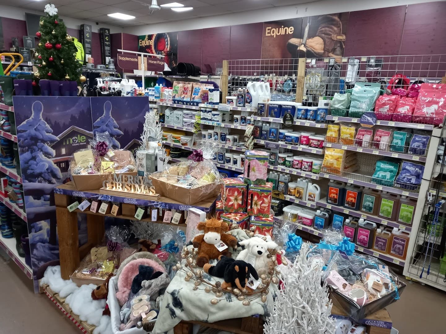 Mole Country Stores 2