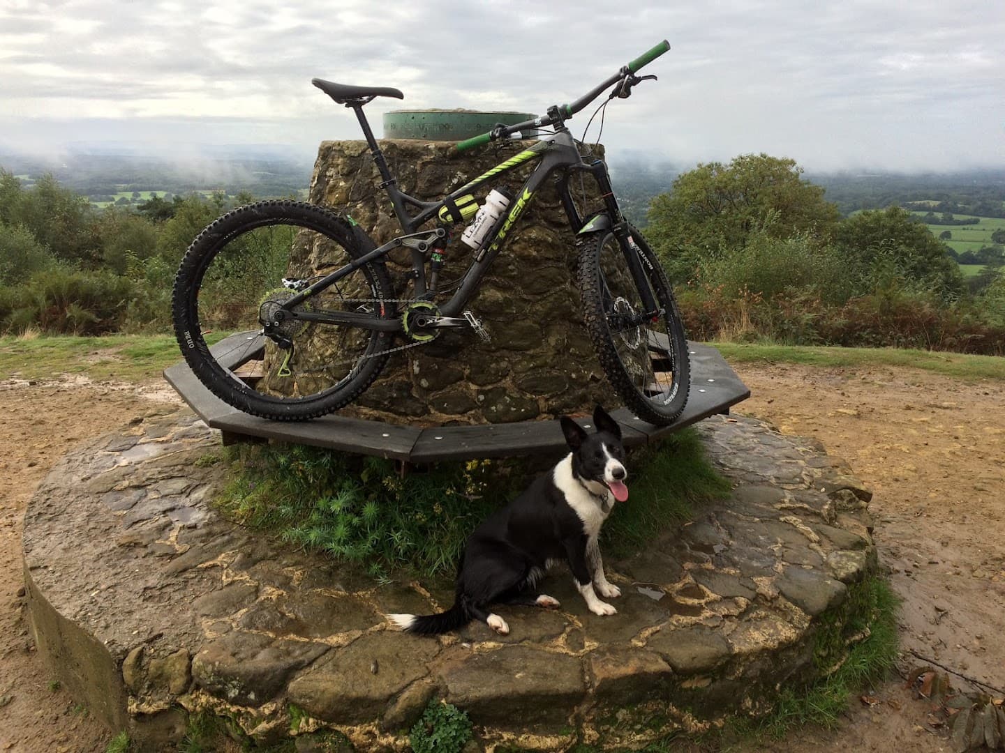 Surrey Hills Bikes - Servicing & Coaching 4