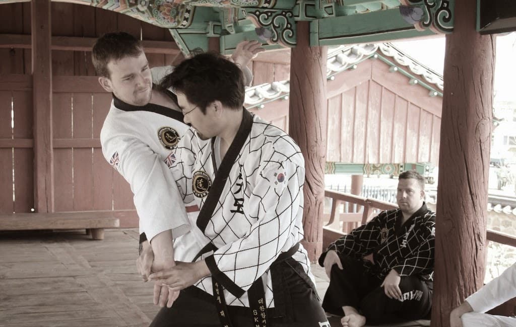 SKMA Hapkido (School of Korean Martial Arts) 2