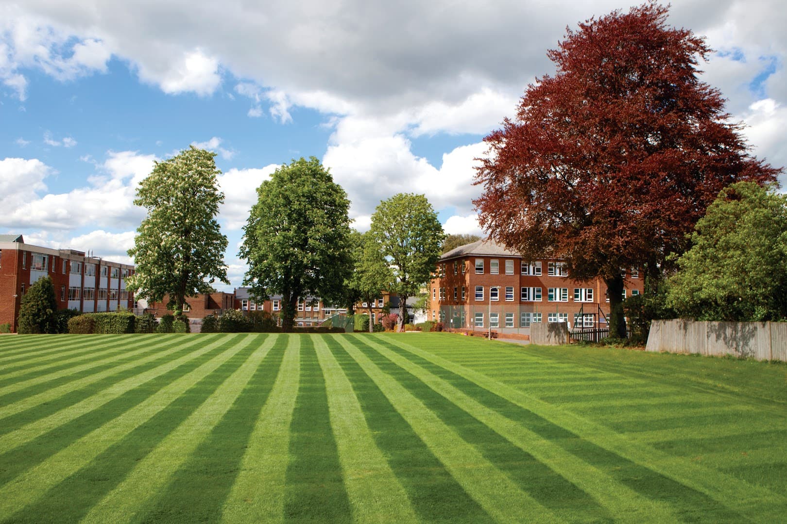 Ultimate Activity Camps at Sutton High School 2