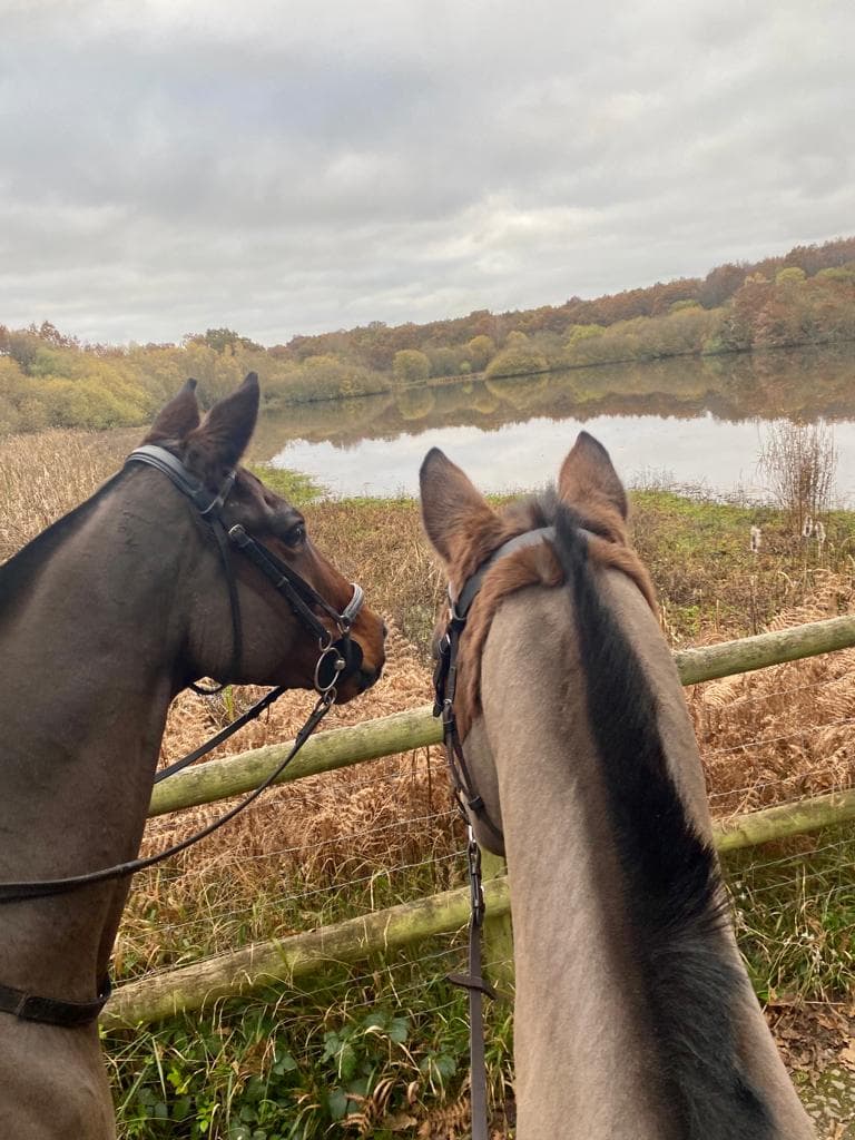 Epsom Riding School 4