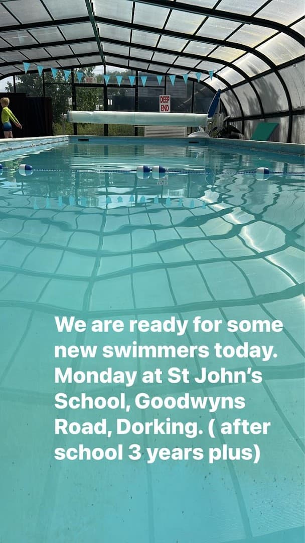Three B's Swim School