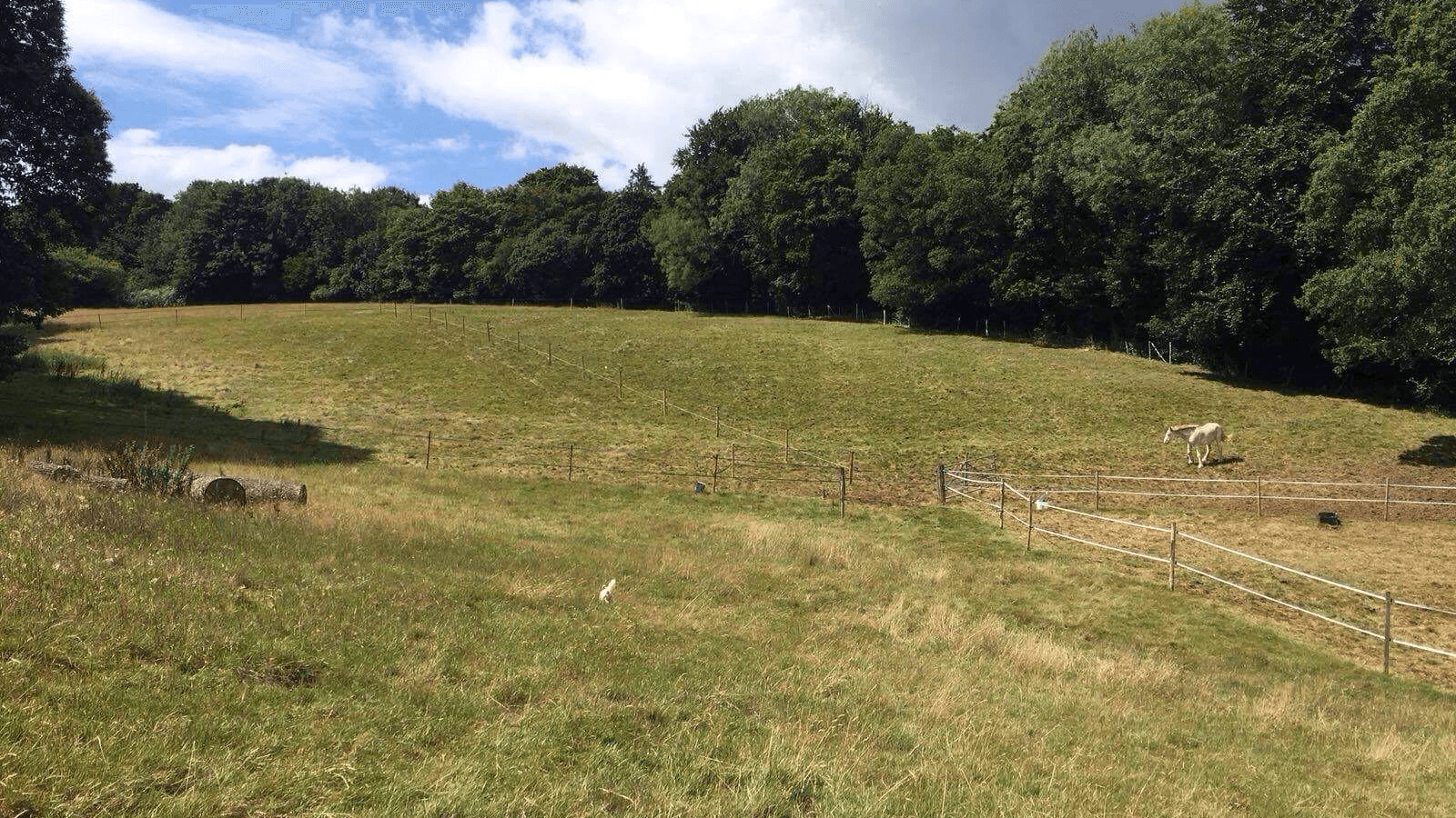 Laudan Equestrian LTD