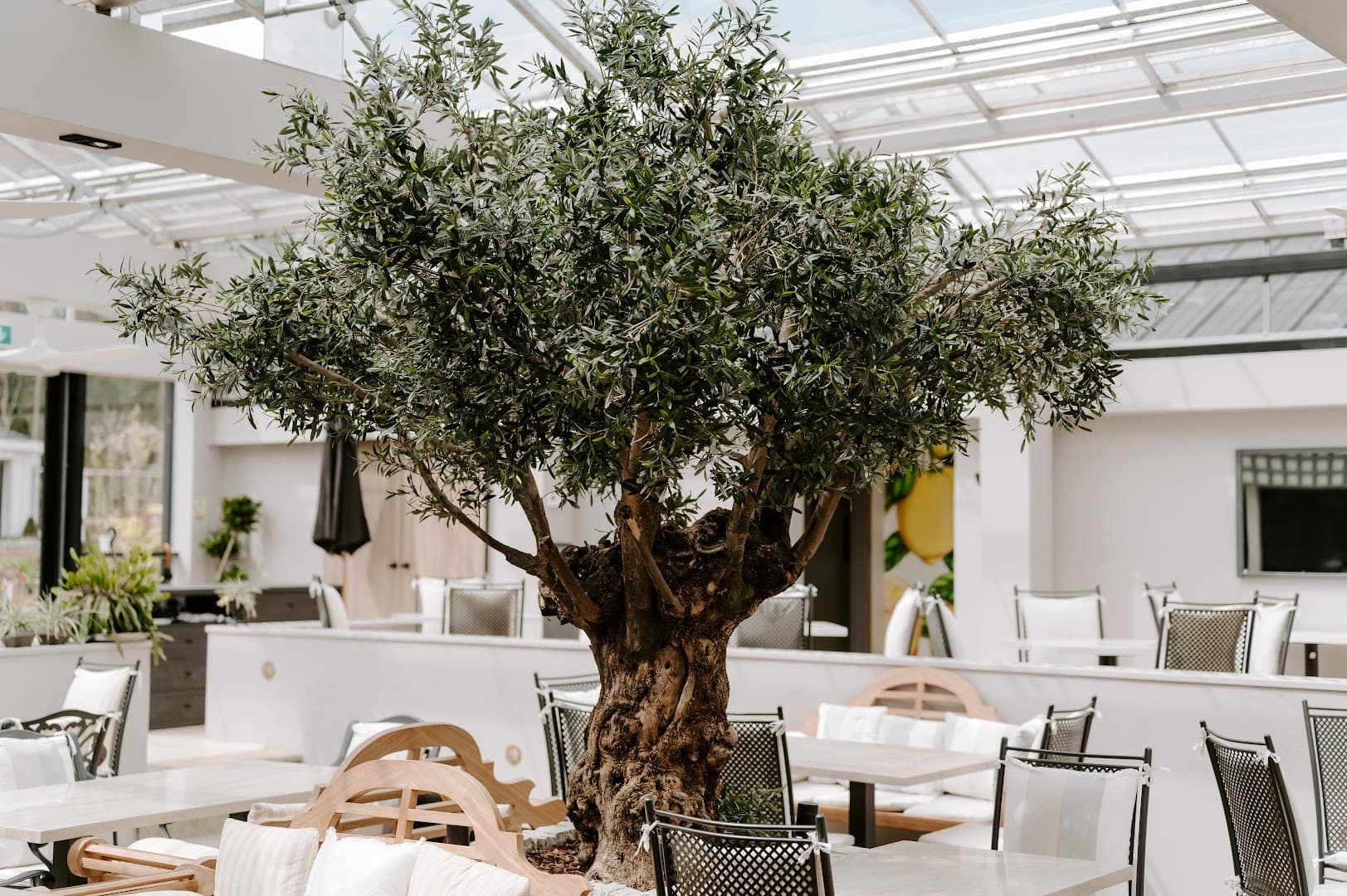 The Glasshouse by Seasons