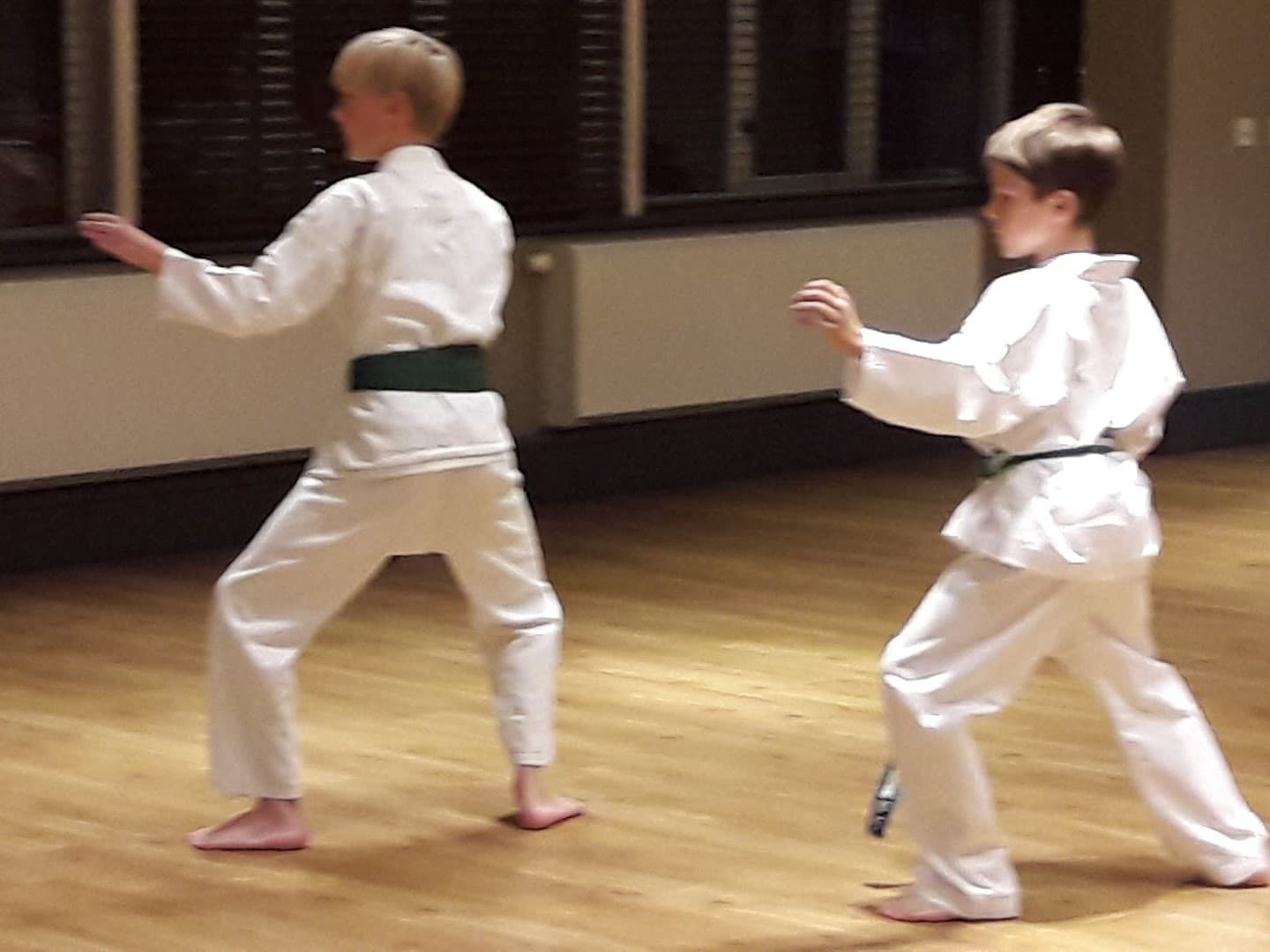 Haslemere Wadokai Karate Club 5