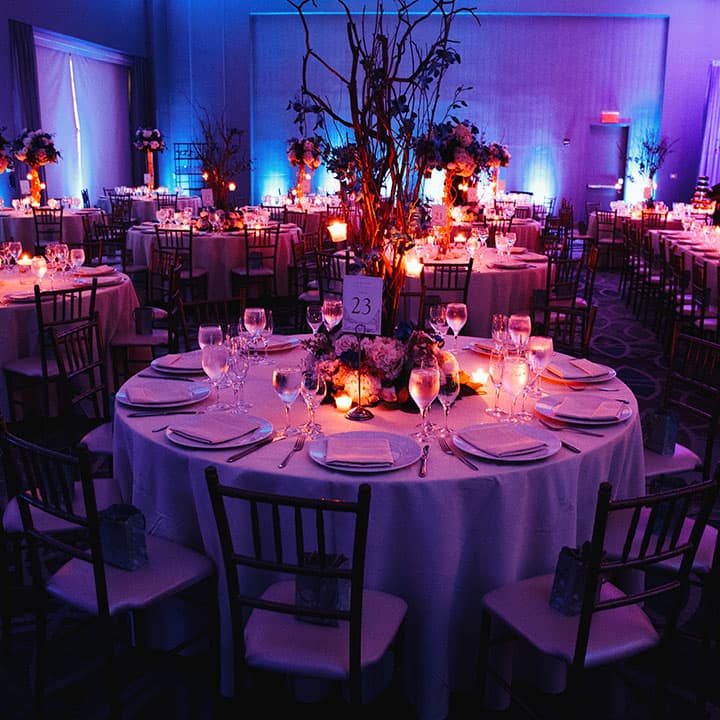 Samantha Kiteley Events 2