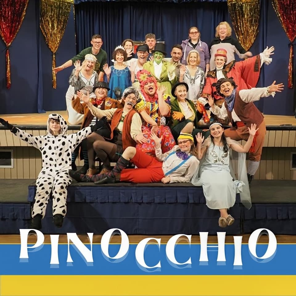 The Woodfield Entertainers