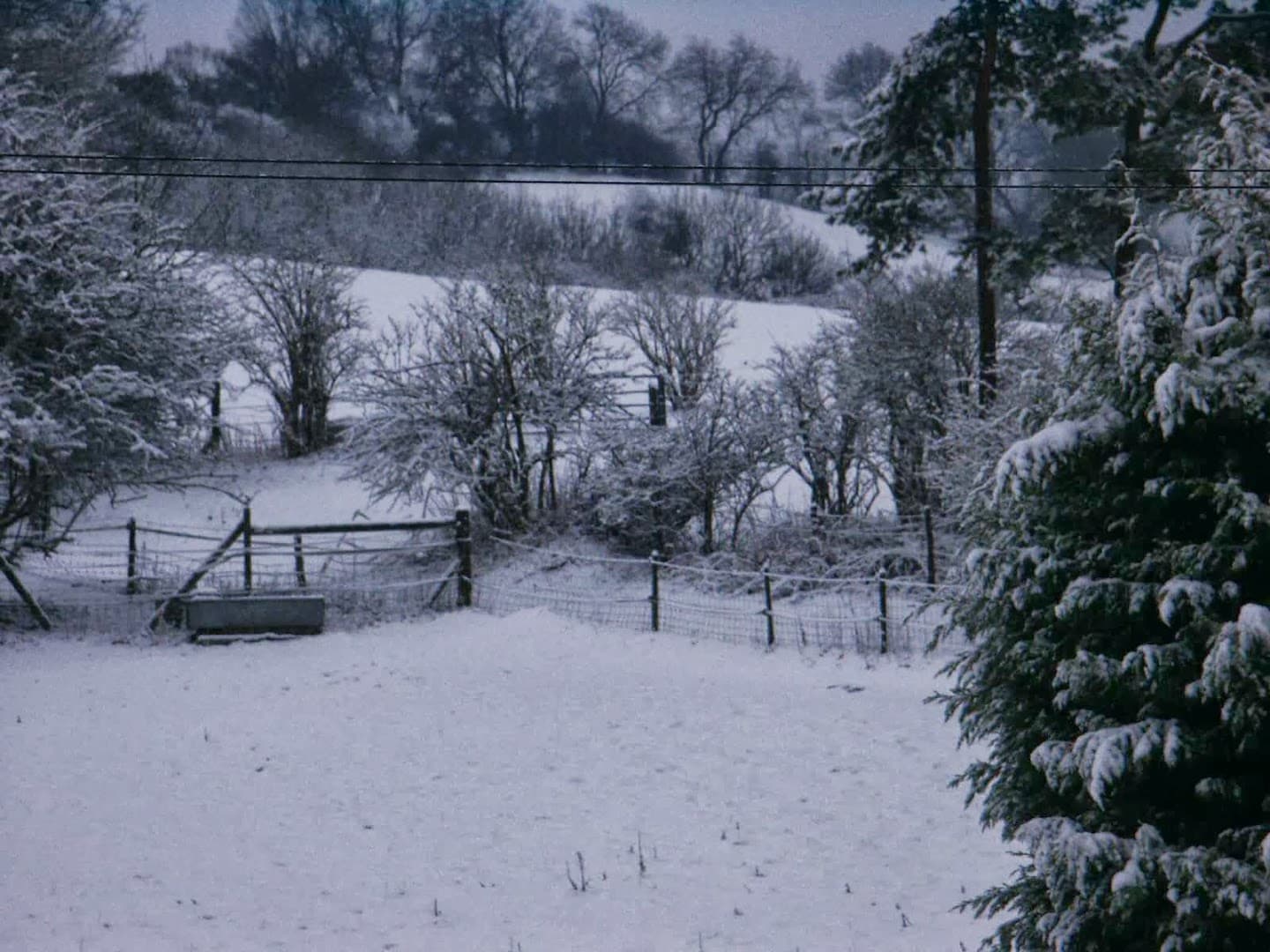 Orchard Farm Stables