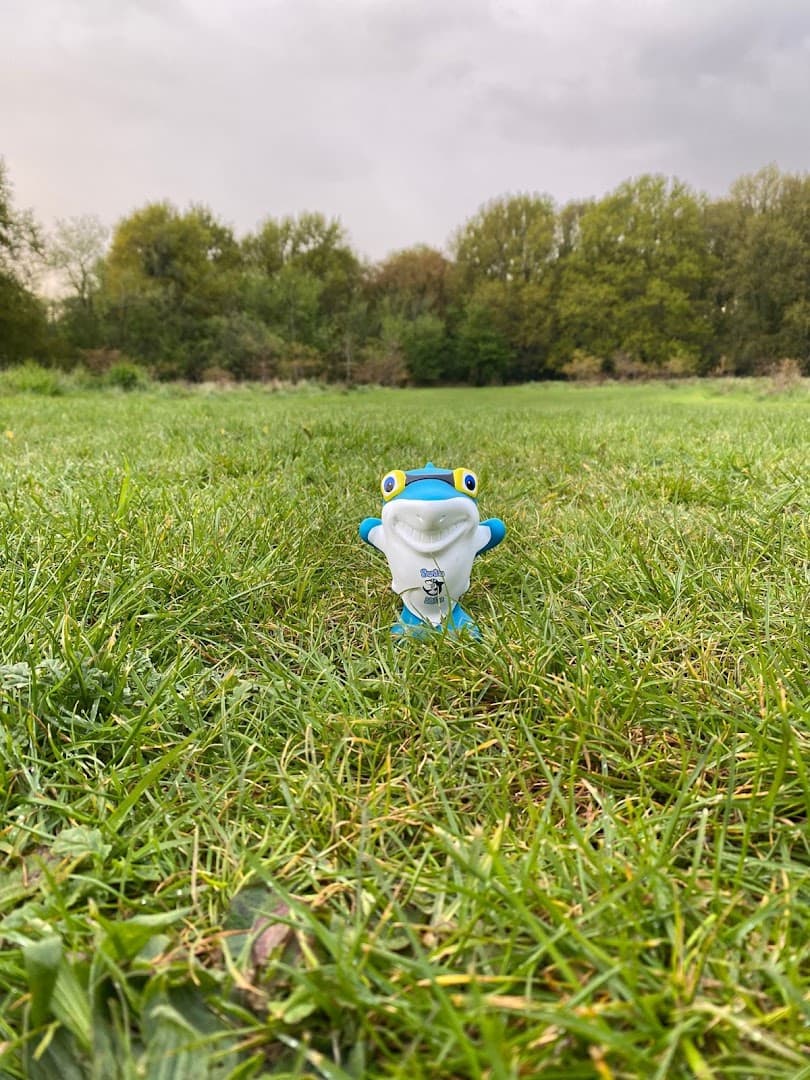 Swimkidz at Meath School