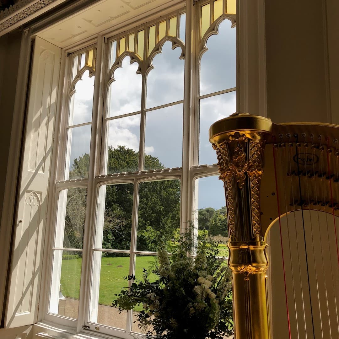 Harpist - Rebeca Jones 3