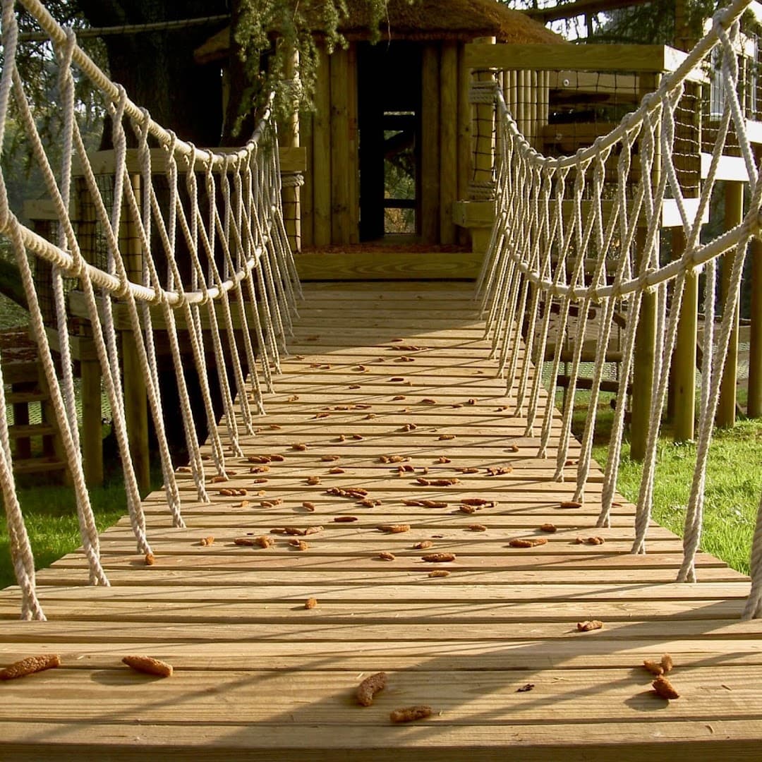 Treehouse Life Ltd 6