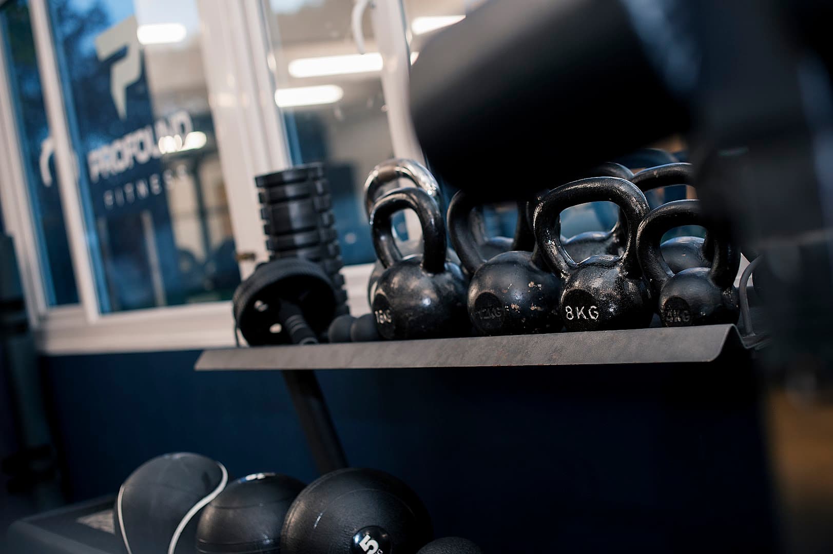 Profound Fitness Mayford 4