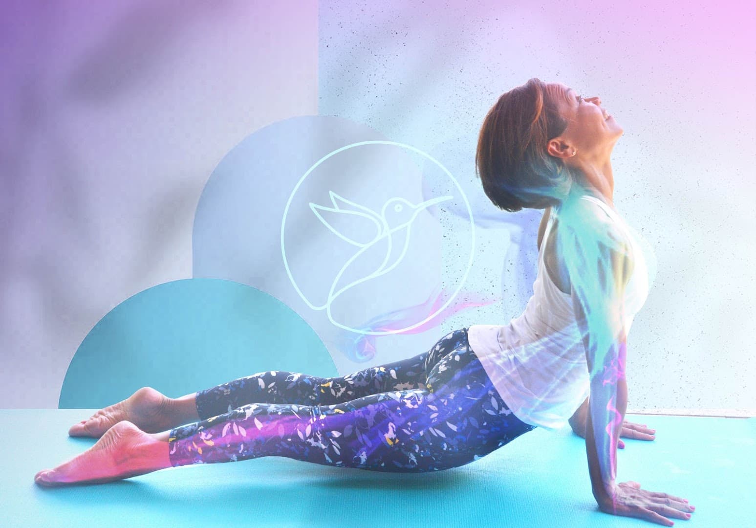 The Hummingbird Studio 5