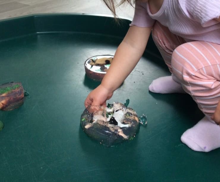 Gogmore Lane Nursery 6