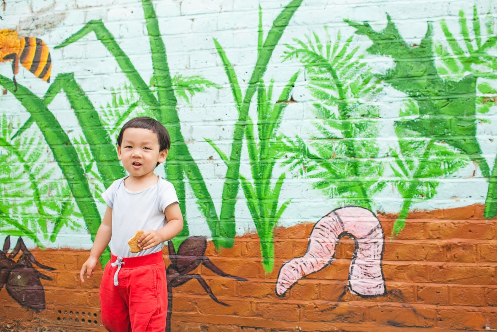 Lilliput Childrens Centre 4