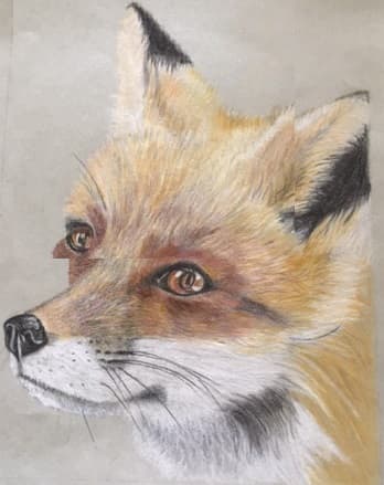 ColourWheel Art Class Camberley 7