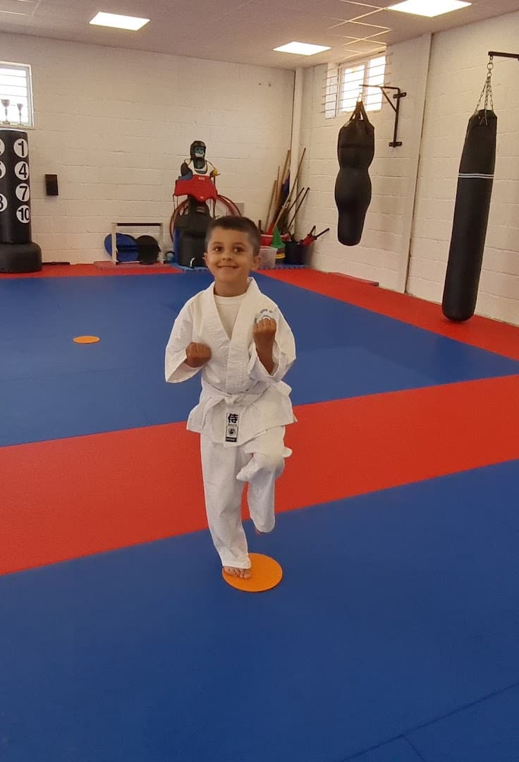 Shin Gi Tai Martial Arts Academy Kingston 6