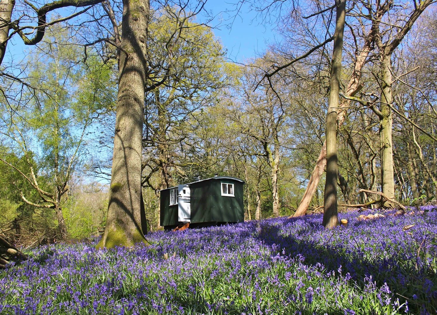 The Green Escape - Glamping 3