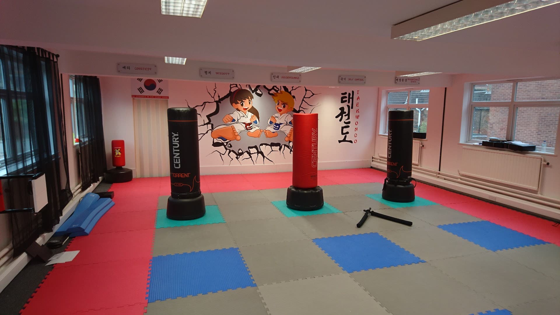 Miles Marial Arts (Taekwondo) Reigate 2