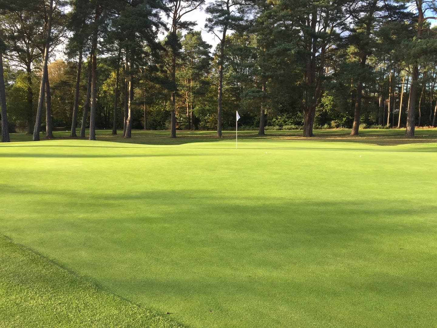 Alex Nicolson Golf Coaching 2