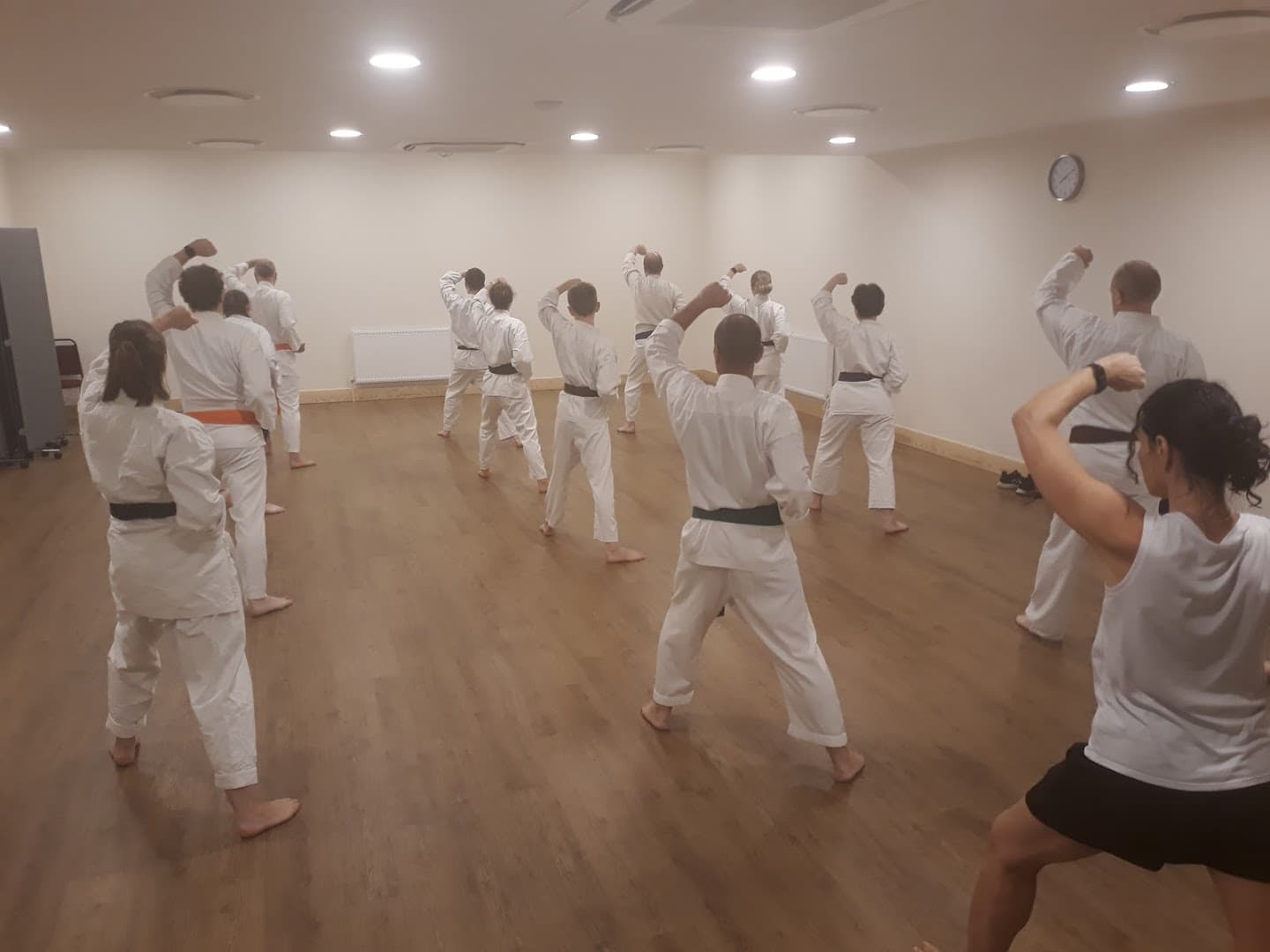 Meadvale Karate Club 2