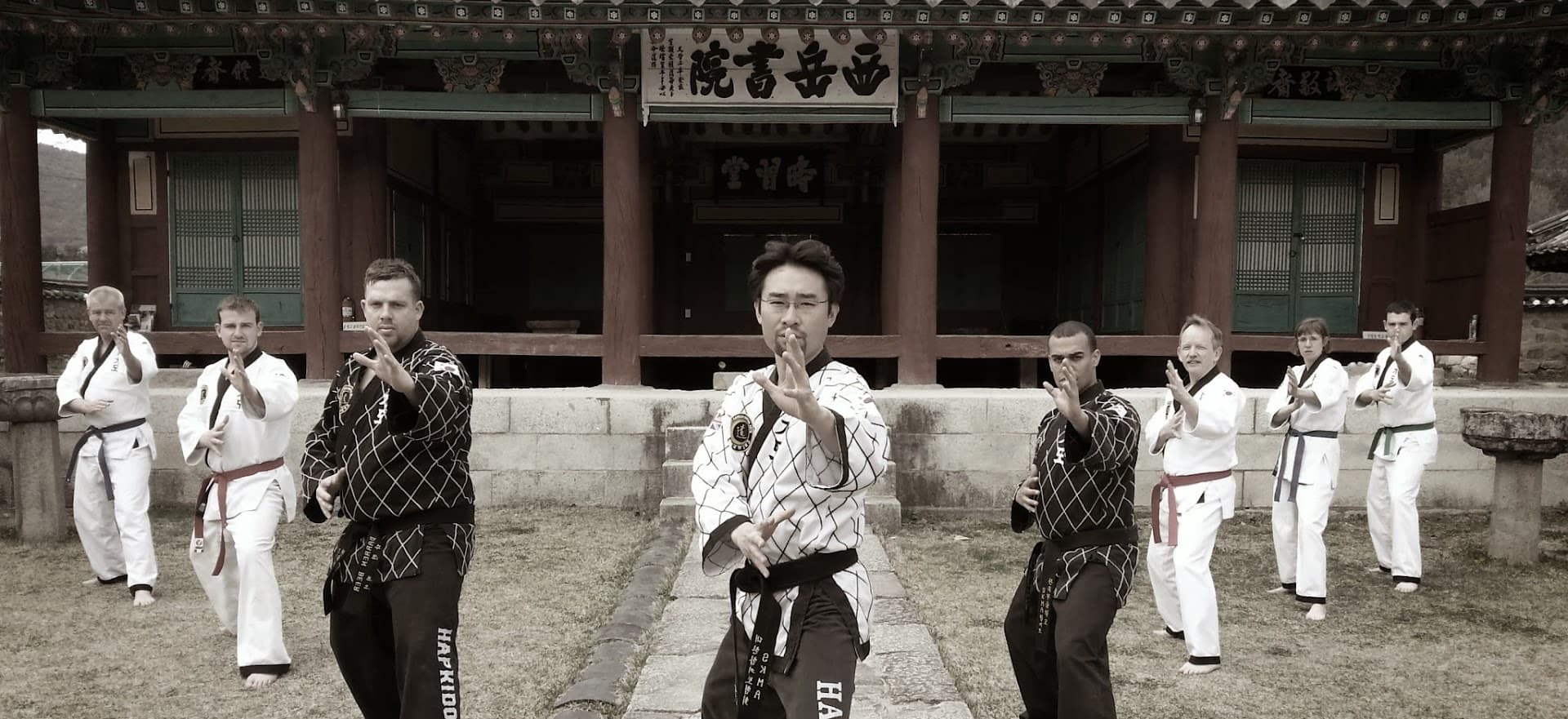 SKMA Hapkido (School of Korean Martial Arts) 10