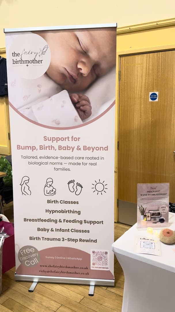 the fairy birthmother