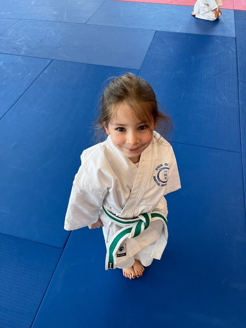 Shin Gi Tai Martial Arts Academy Kingston 2