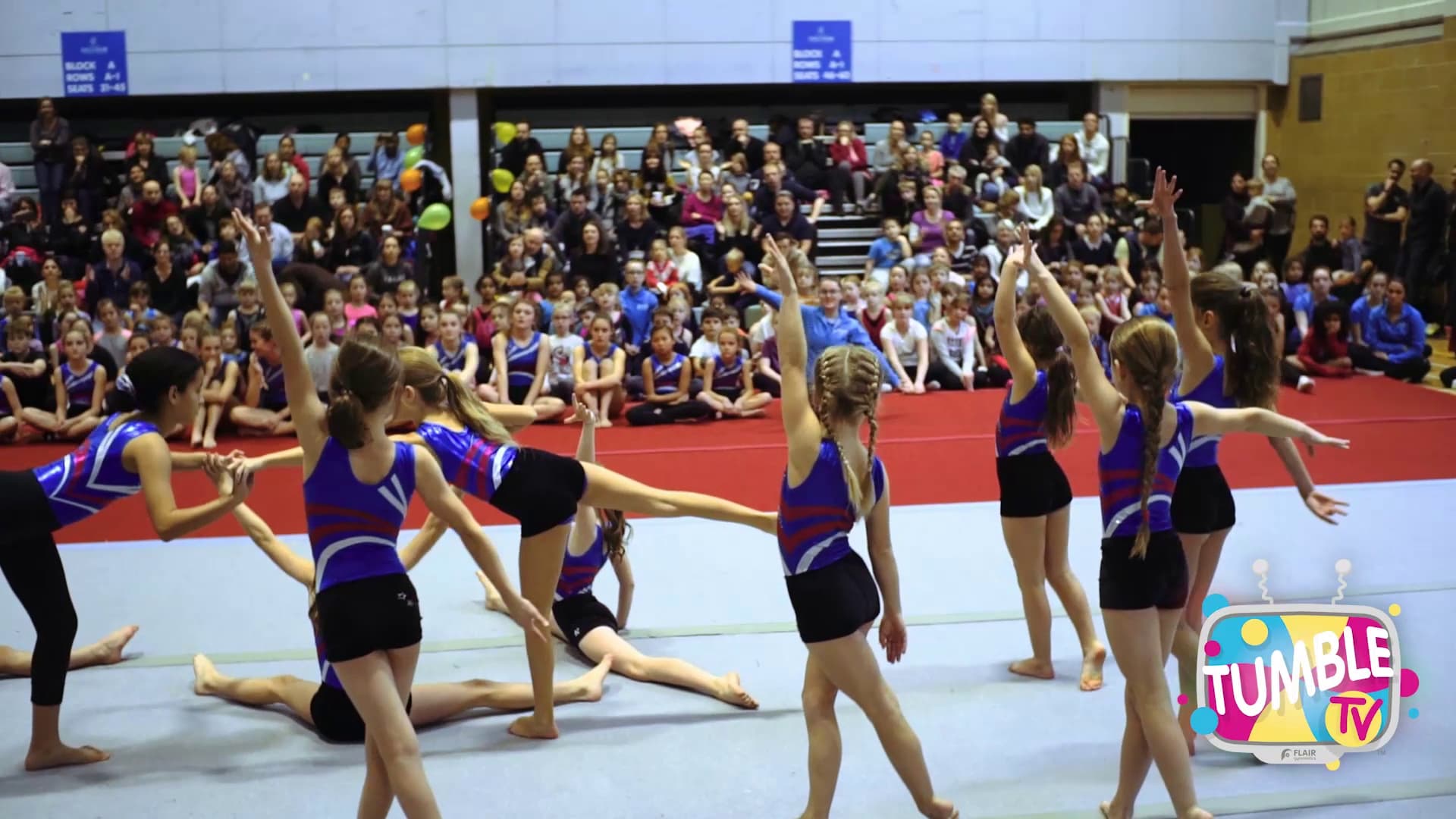 Flair Gymnastics : GUILDFORD SPECTRUM 8