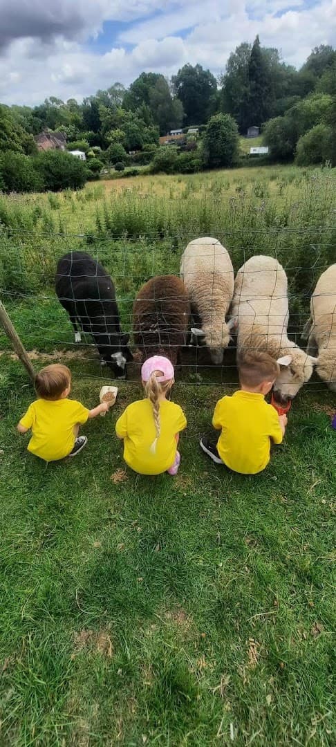 Daisy Chain Pre School Old Coulsdon