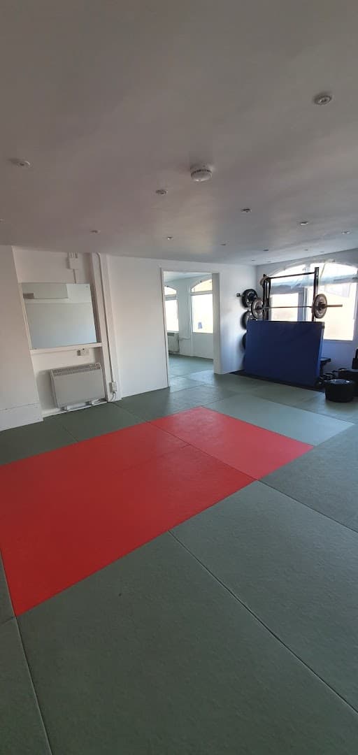 Dorking Brazilian Jiu-jitsu 3