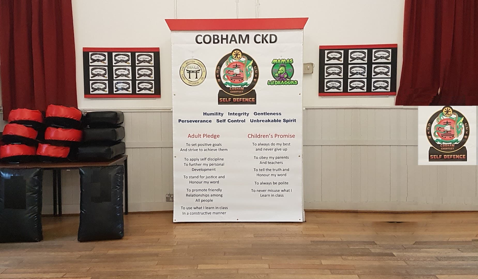 Cobham CKD 3