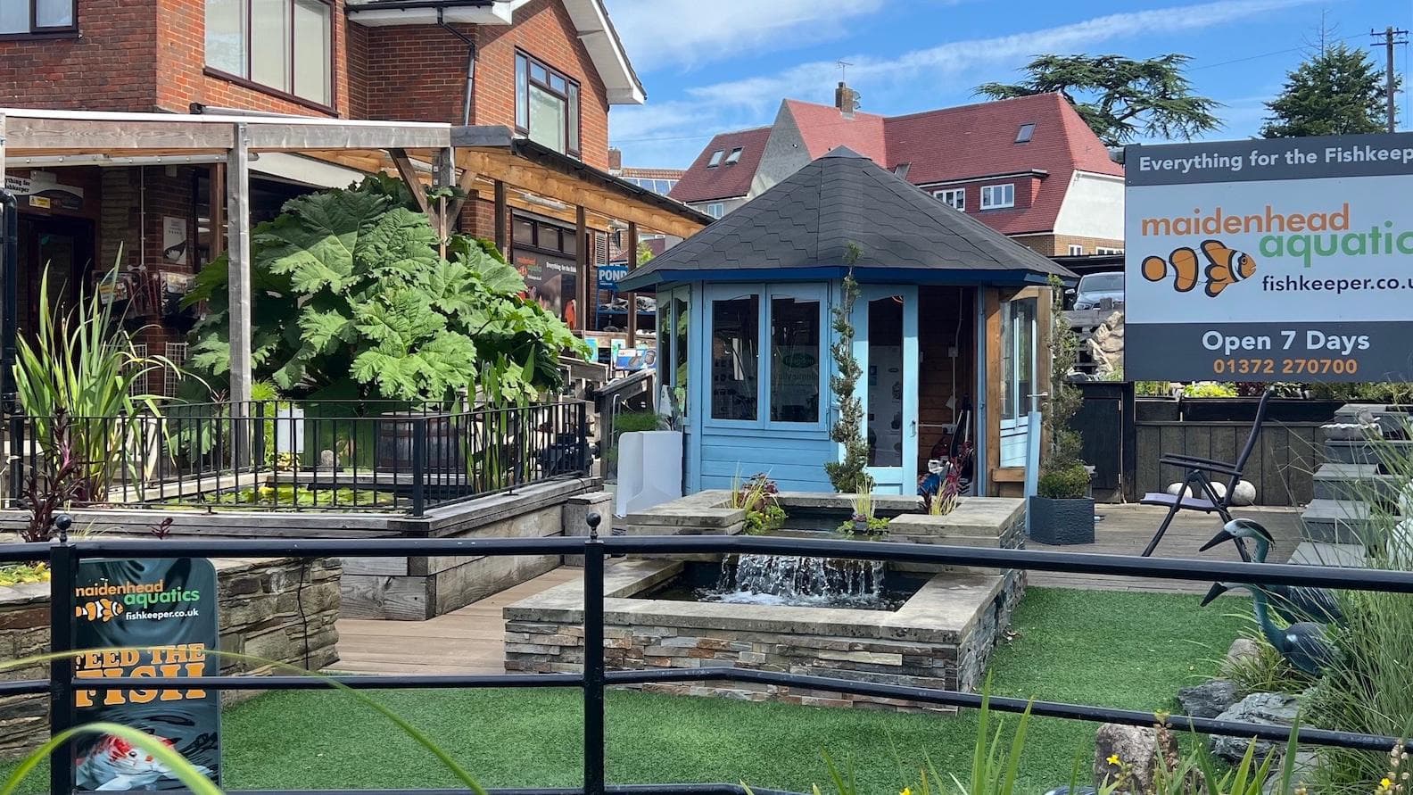 Maidenhead Aquatics Ashtead