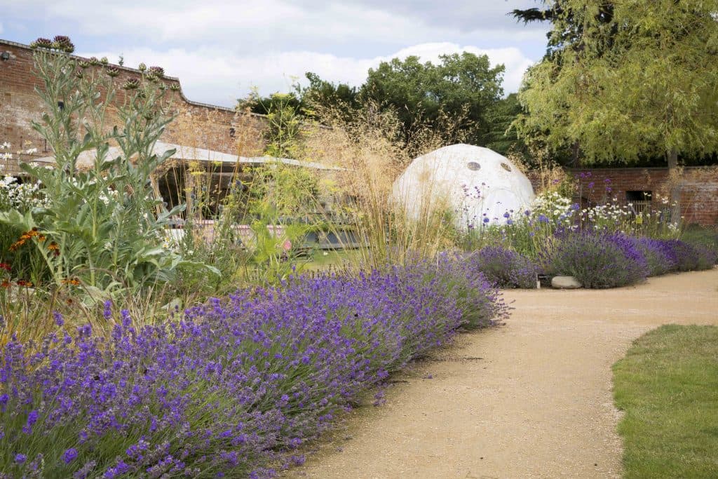 birth-ed : Hypnobirthing and Antenatal Classes 3