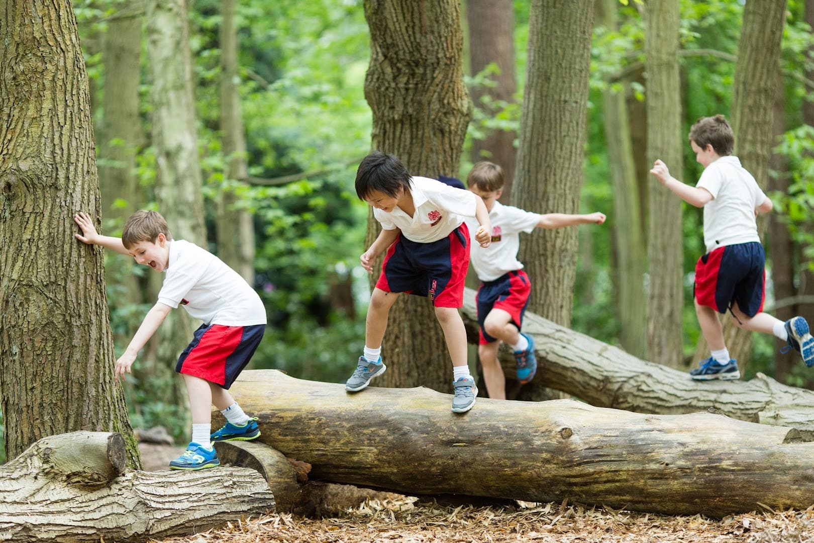 Wellington College Prep 3