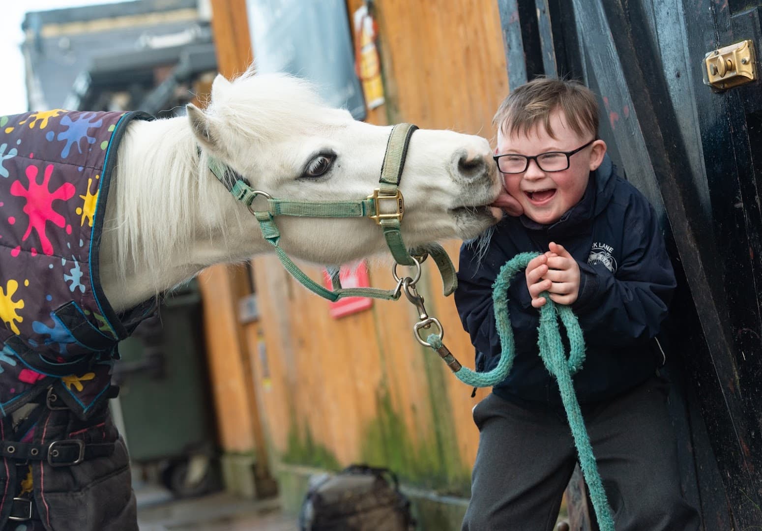 Park Lane Stables RDA