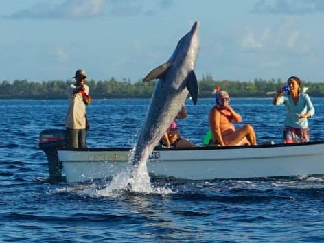 Safari Deal - Worldwide Safari Holidays 4