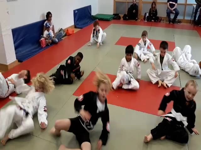 Godalming Brazilian Jiu Jitsu 2