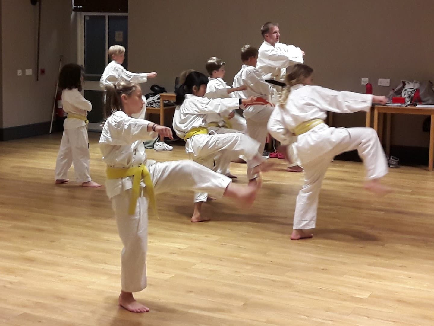 Haslemere Wadokai Karate Club