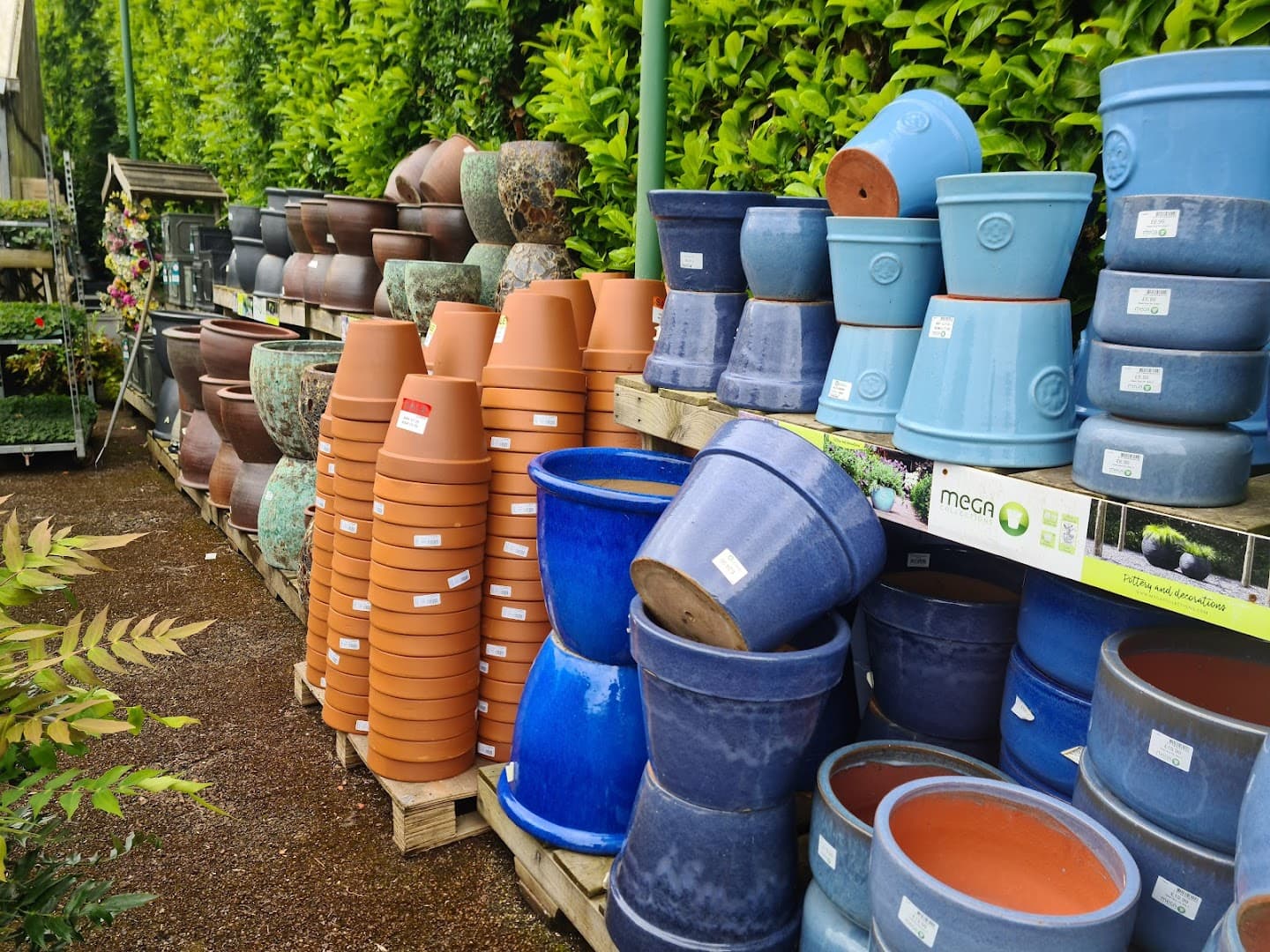 Dobbe's Garden Centre and Florist Shop 4