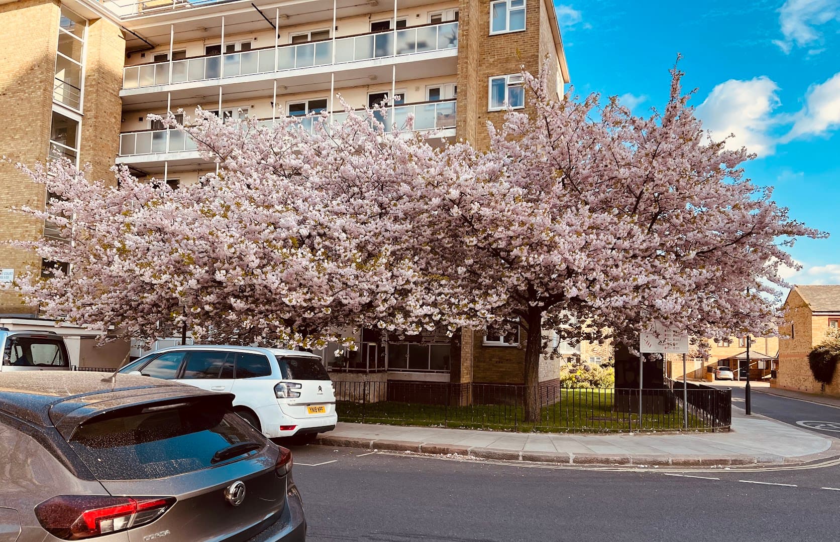 Fingers and Thumbs Massage 9