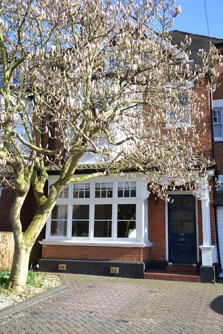 Kingston Music School (Singing Violin Viola Piano & Guitar Lessons) 4