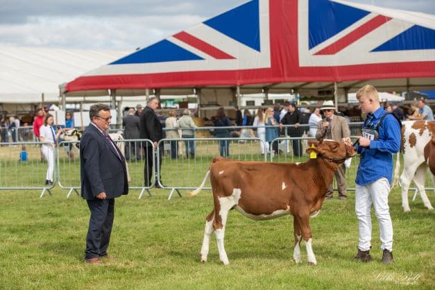 Edenbridge & Oxted Agricultural Show 3